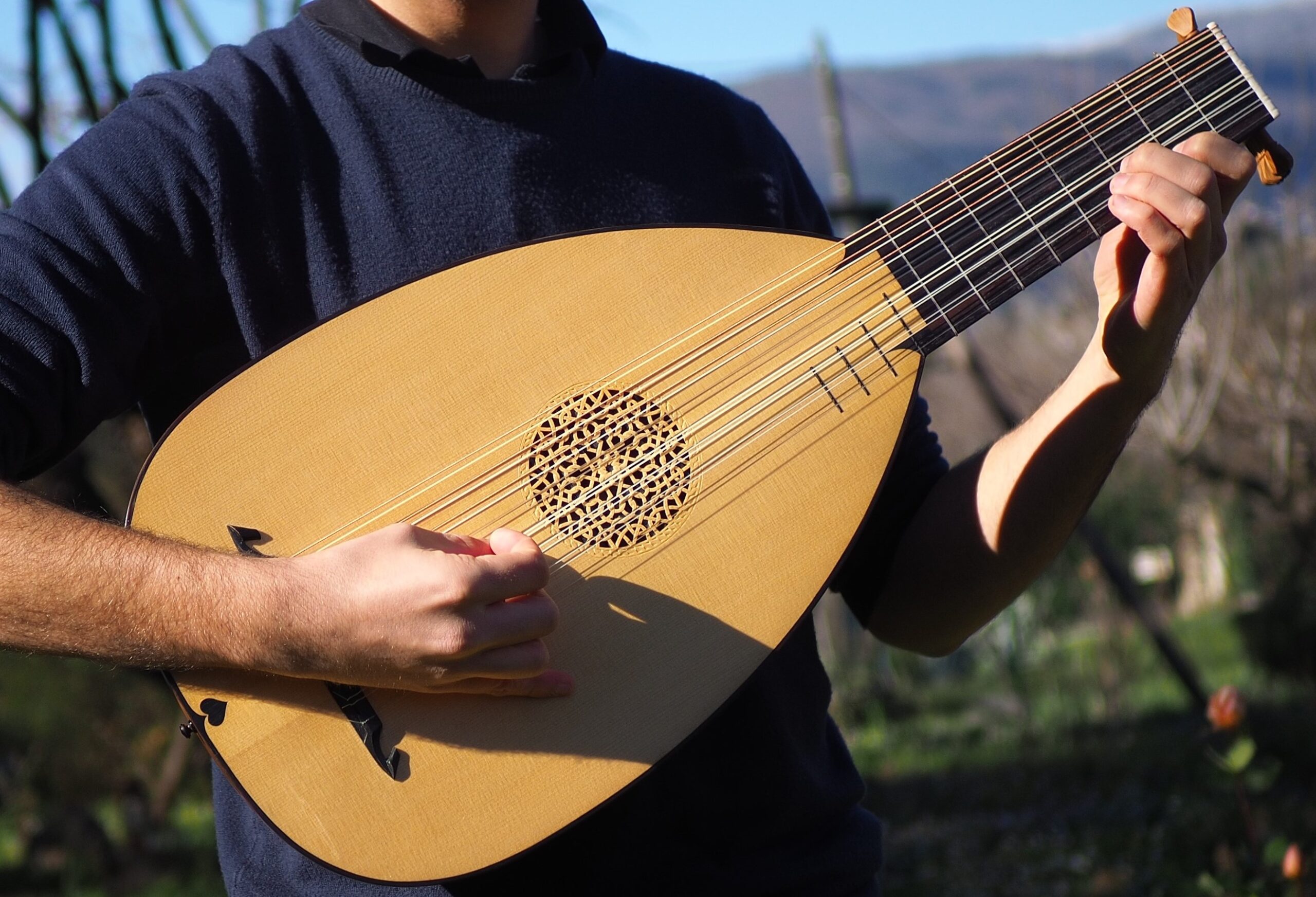 À quel instrument de musique un luth ressemble-t-il ? 